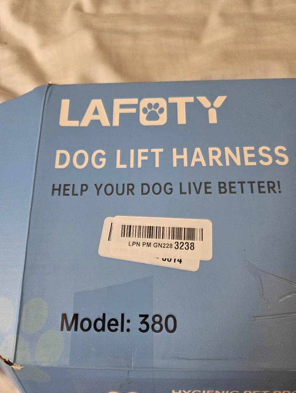 lafoty black dog